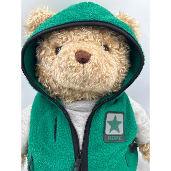 Gund Wish Bear 2000 2001 Limited Edition Green Vest Plush Toy Kids - Picture 2 of 6